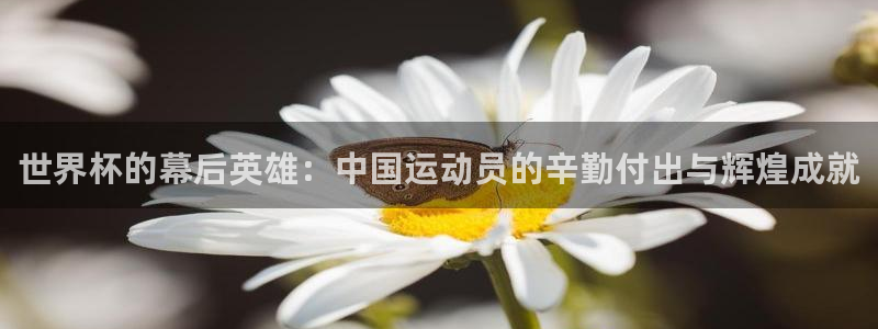 世界杯预选赛亚洲区赛程