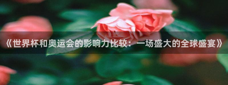 2026年足球世界杯赛程时间表：《世界杯和奥运会的影响力比较：一场盛大的全球盛宴》