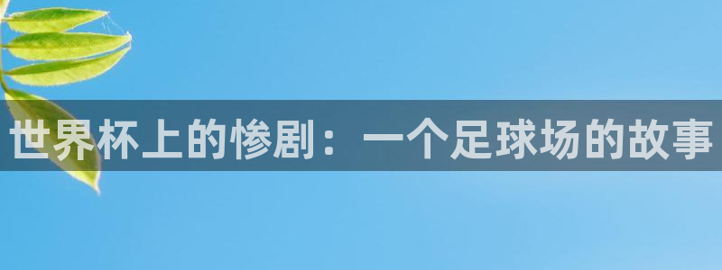 足球杯：世界杯上的惨剧：一个足球场的故事