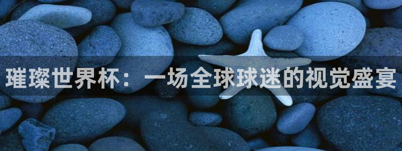 世界杯直播在线观看入口：璀璨世界杯：一场全球球迷的视觉盛宴