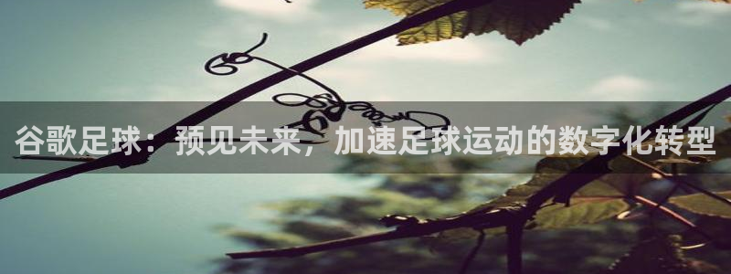 2026年世界杯：谷歌足球：预见未来，加速足球运动的数字化转型