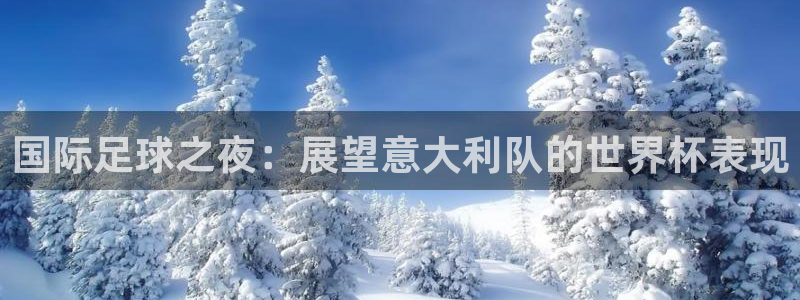 世界杯决赛圈球队：国际足球之夜：展望意大利队的世界杯表现