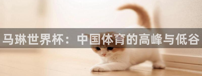 法国杯2026赛程表：马琳世界杯：中国体育的高峰与低谷