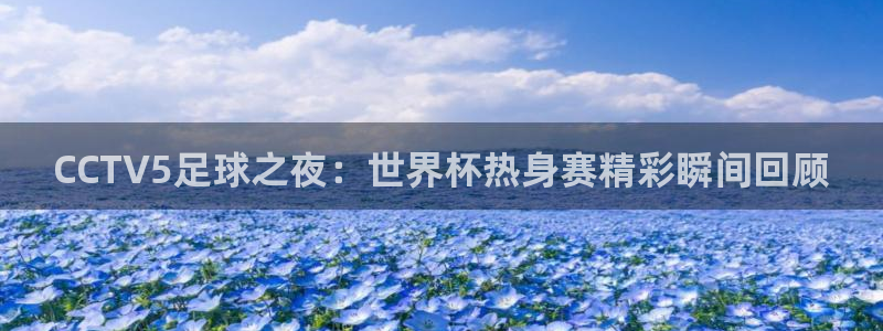 世界杯亚洲区预选赛赛程表：CCTV5足球之夜：世界杯热身赛精彩瞬间回顾