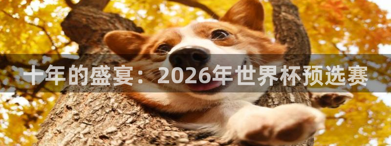 美国世界杯：十年的盛宴：2026年世界杯预选赛